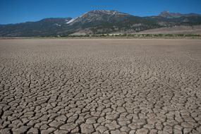 2021年7月15日在内华达州沃索市的小沃索湖。根据内华达州野生动植物部的说法，由于干旱长期，该湖枯竭。