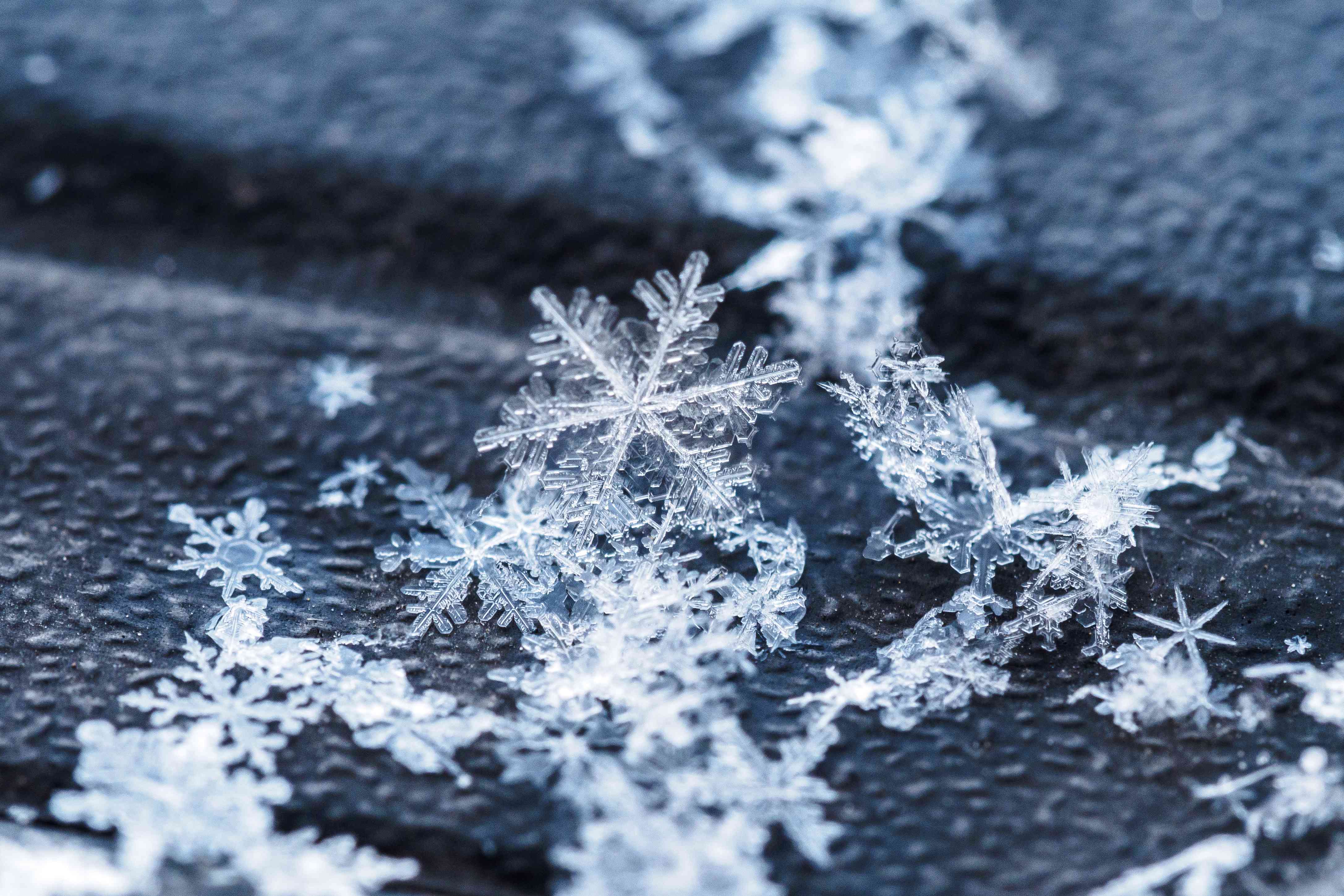 snowflakes close-up