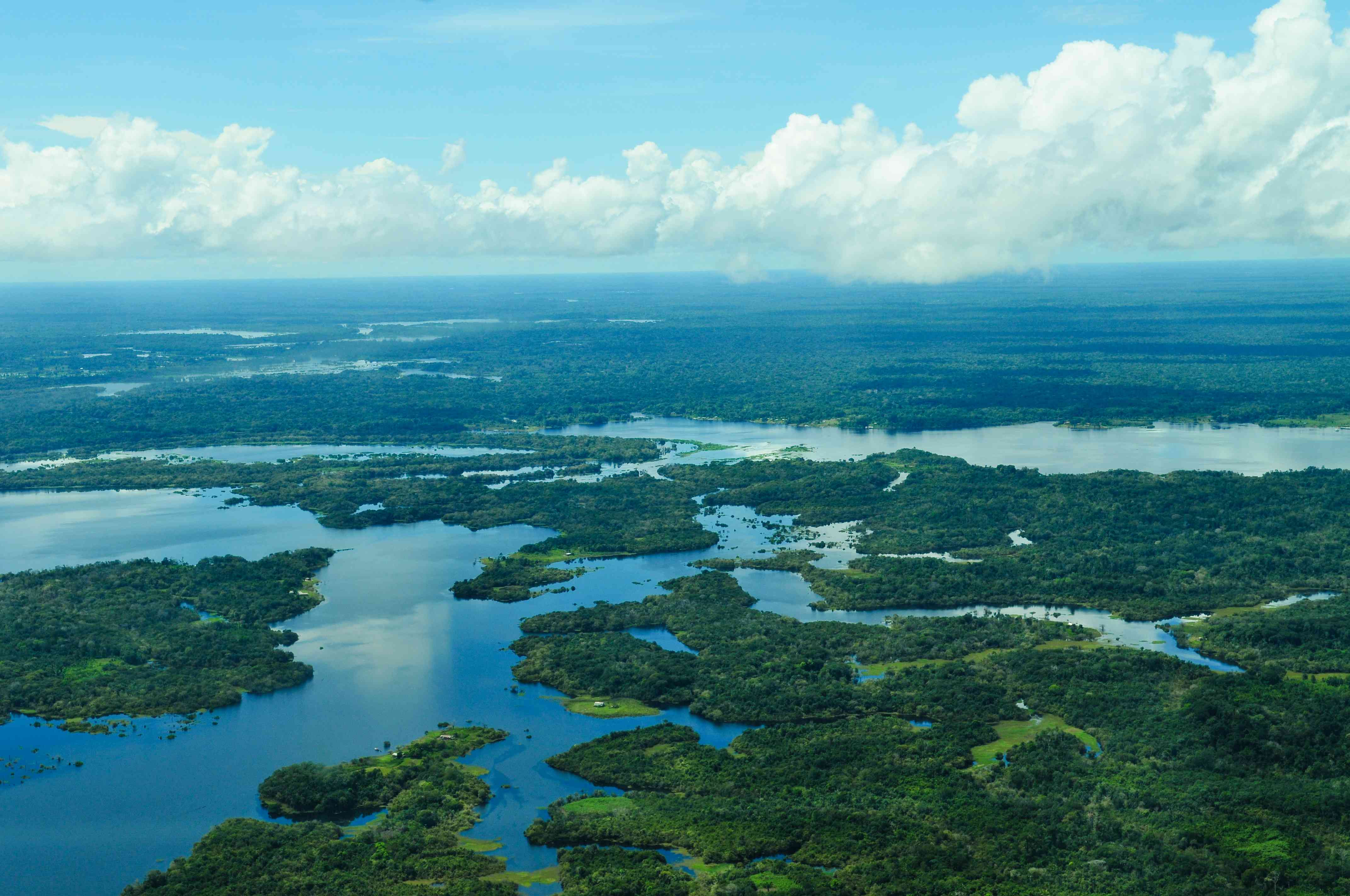 亚马逊河的体积很大＂width=