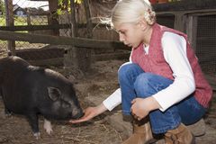 女孩在谷仓的大肚猪