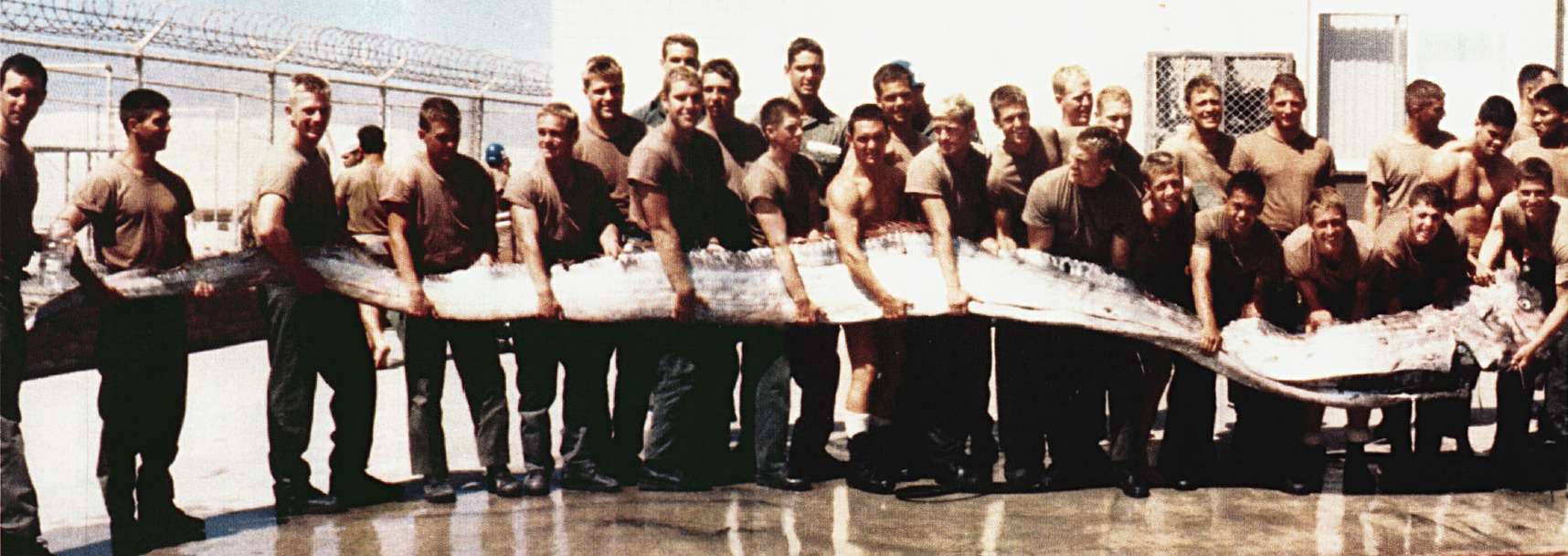 美国海军军人手持23英尺长的巨型桨鱼＂width=