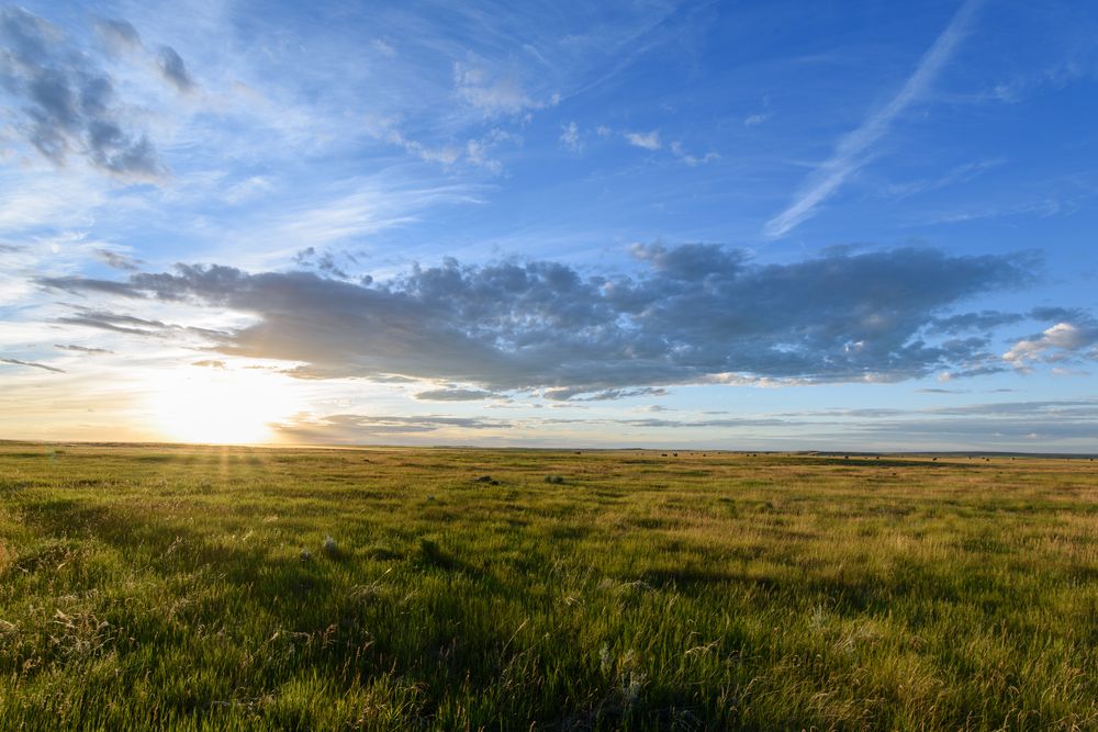 草原土壤是土壤在美国最广泛的一种