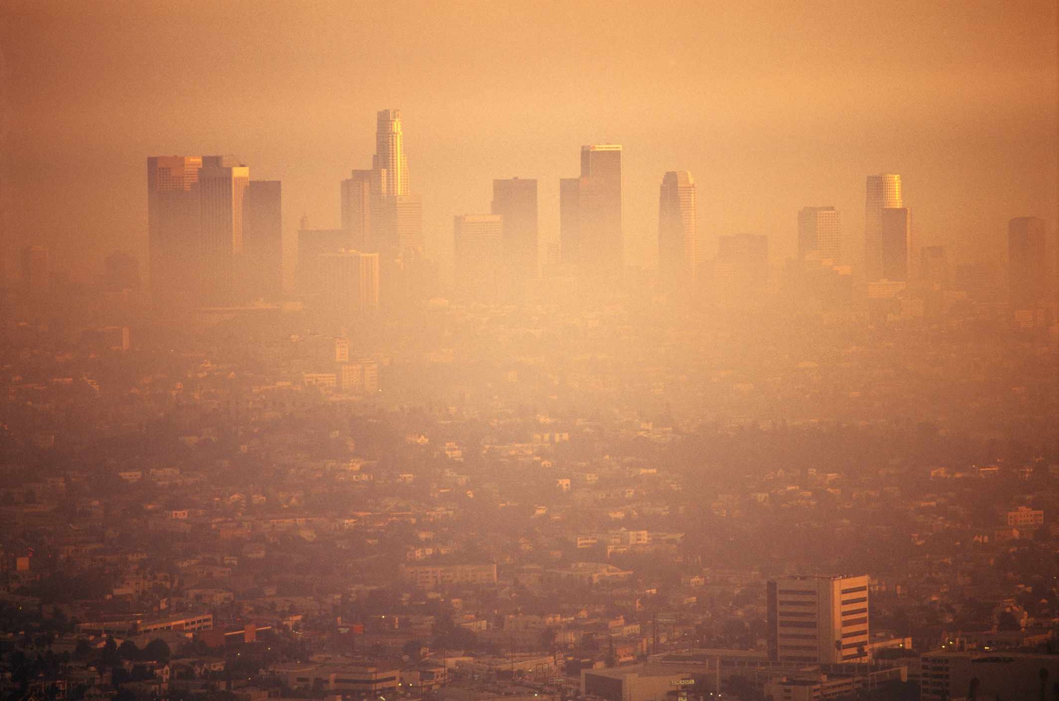 烟雾笼罩洛杉矶。