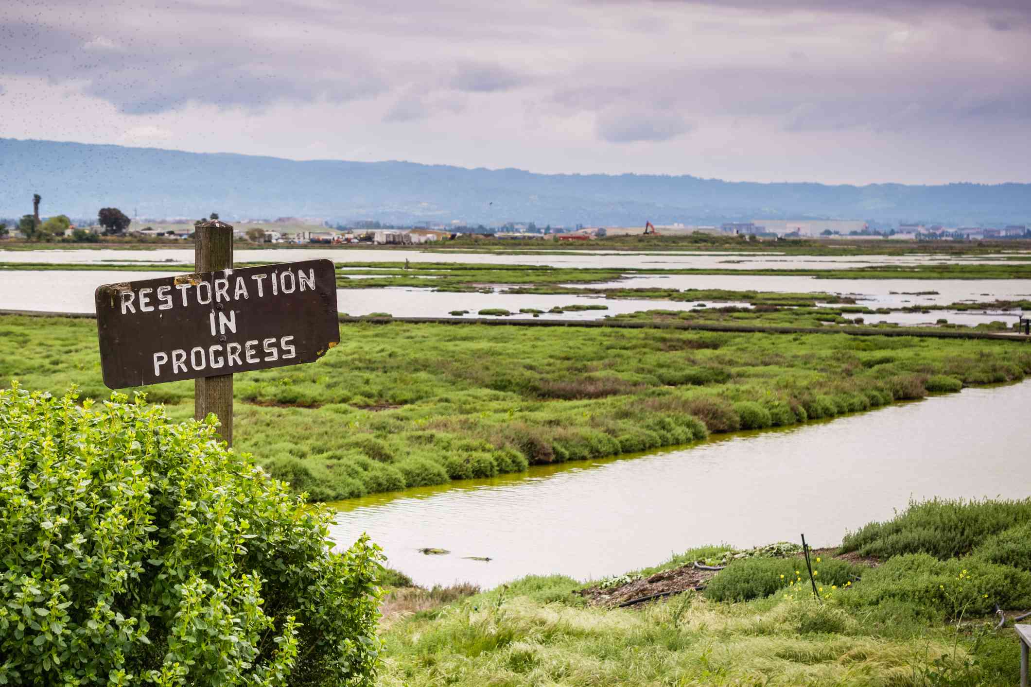 加利福尼亚州旧金山湾南部，Don Edwards野生动物保护区，Alviso Marsh湿地的修复标志