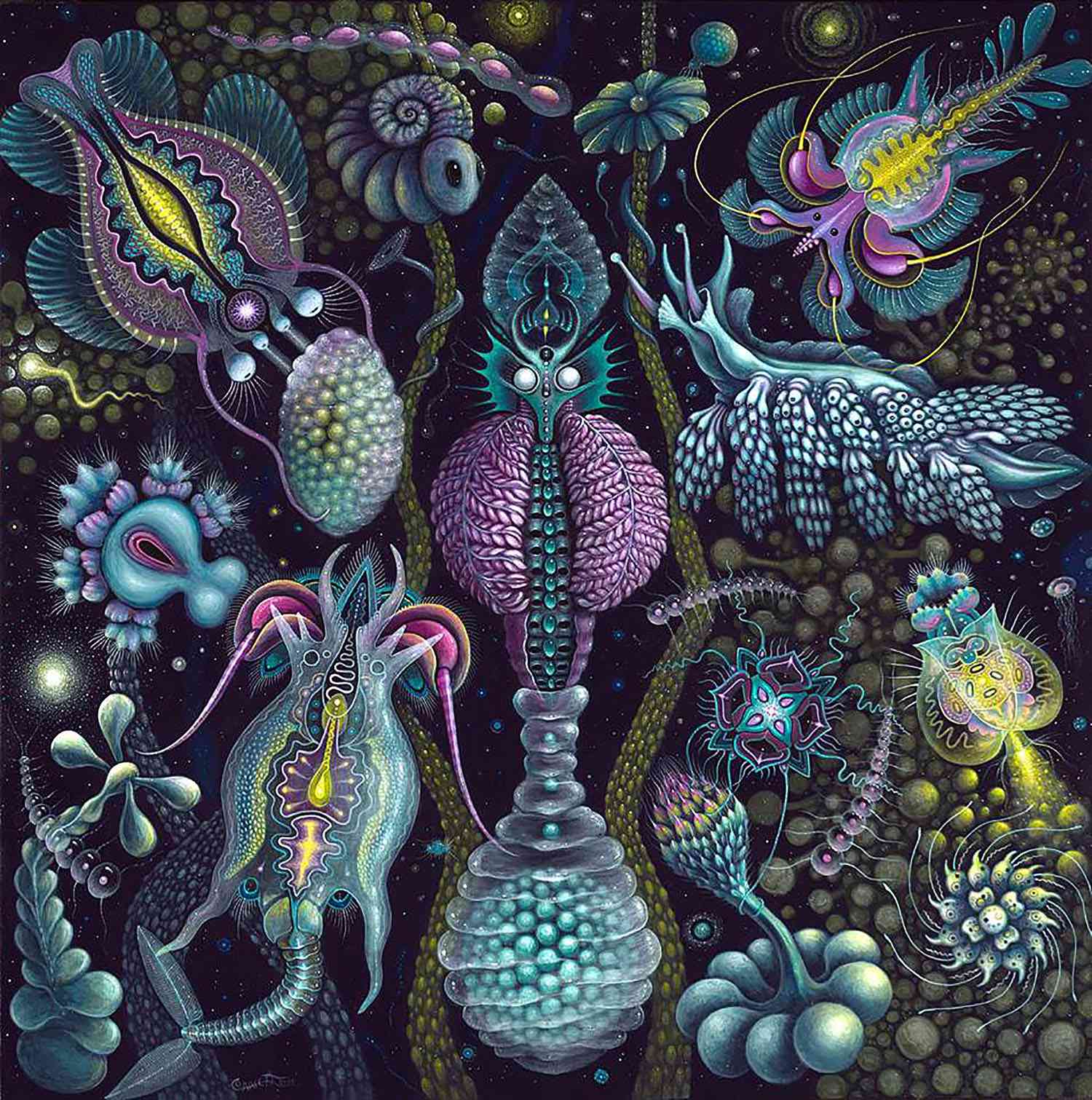 奇幻的海洋生物绘画罗伯特·史蒂文·康妮特（Robert Steven Connett）