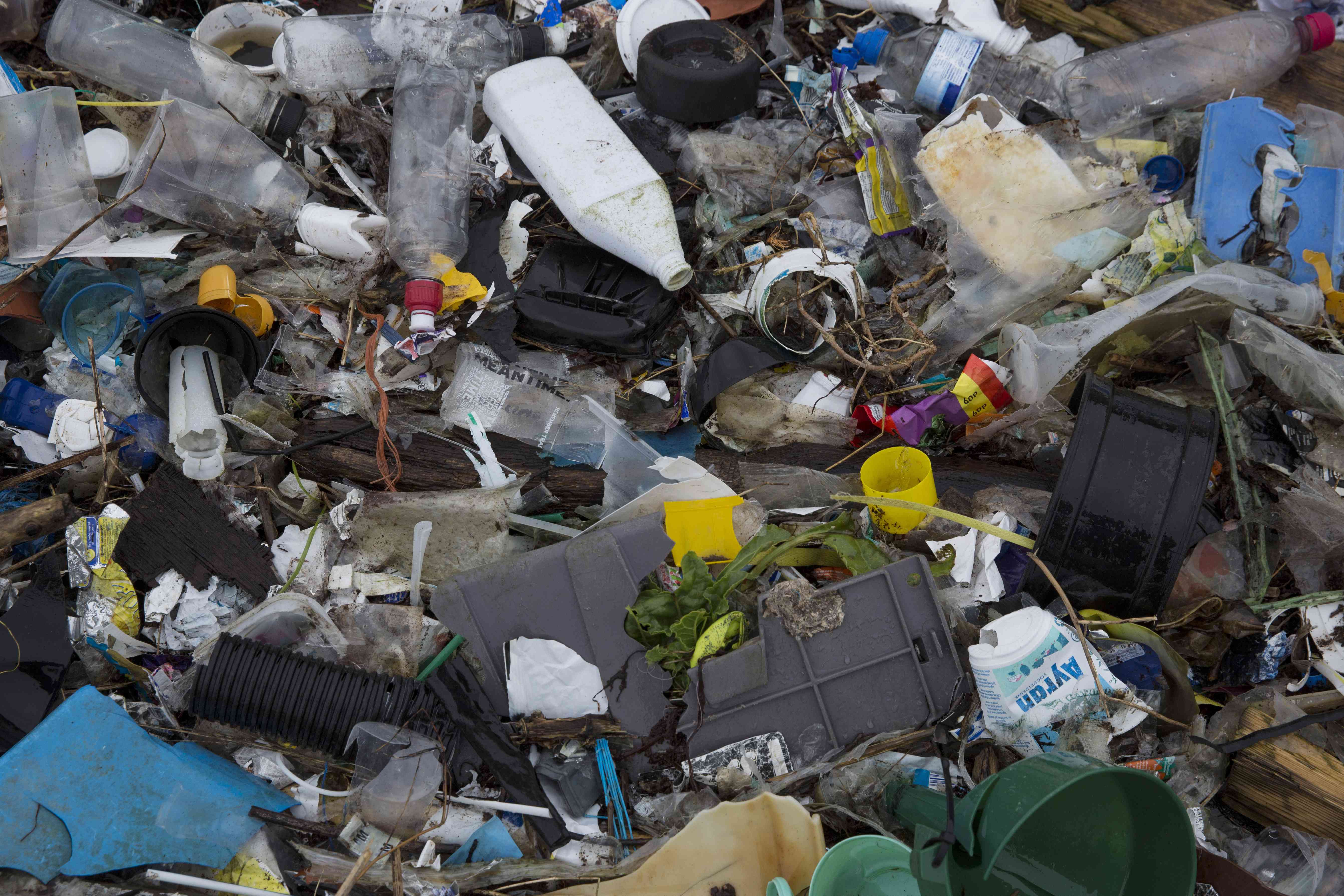 塑料垃圾，泰晤士河口
