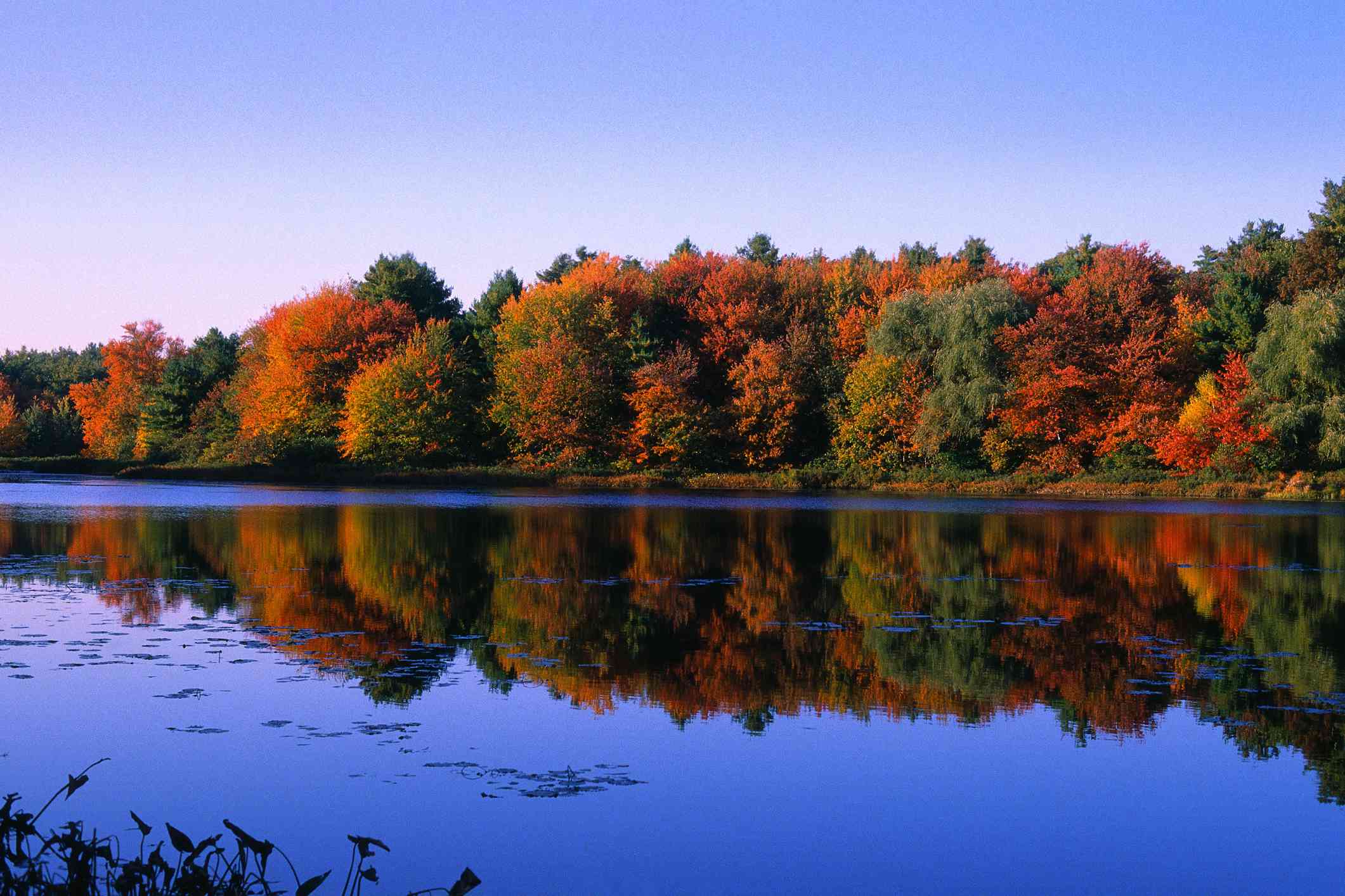 瓦尔登湖的秋天