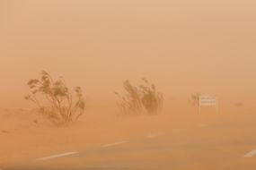 在一场沙尘暴中，非洲道路的朦胧景象。