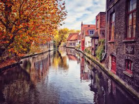 秋天的树木在一个安静的运河在布鲁日,比利时