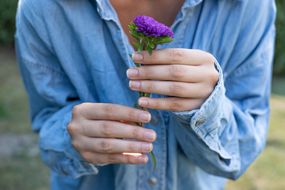 身穿牛仔衬衫、指甲自然的女子双手捧起紫色花朵