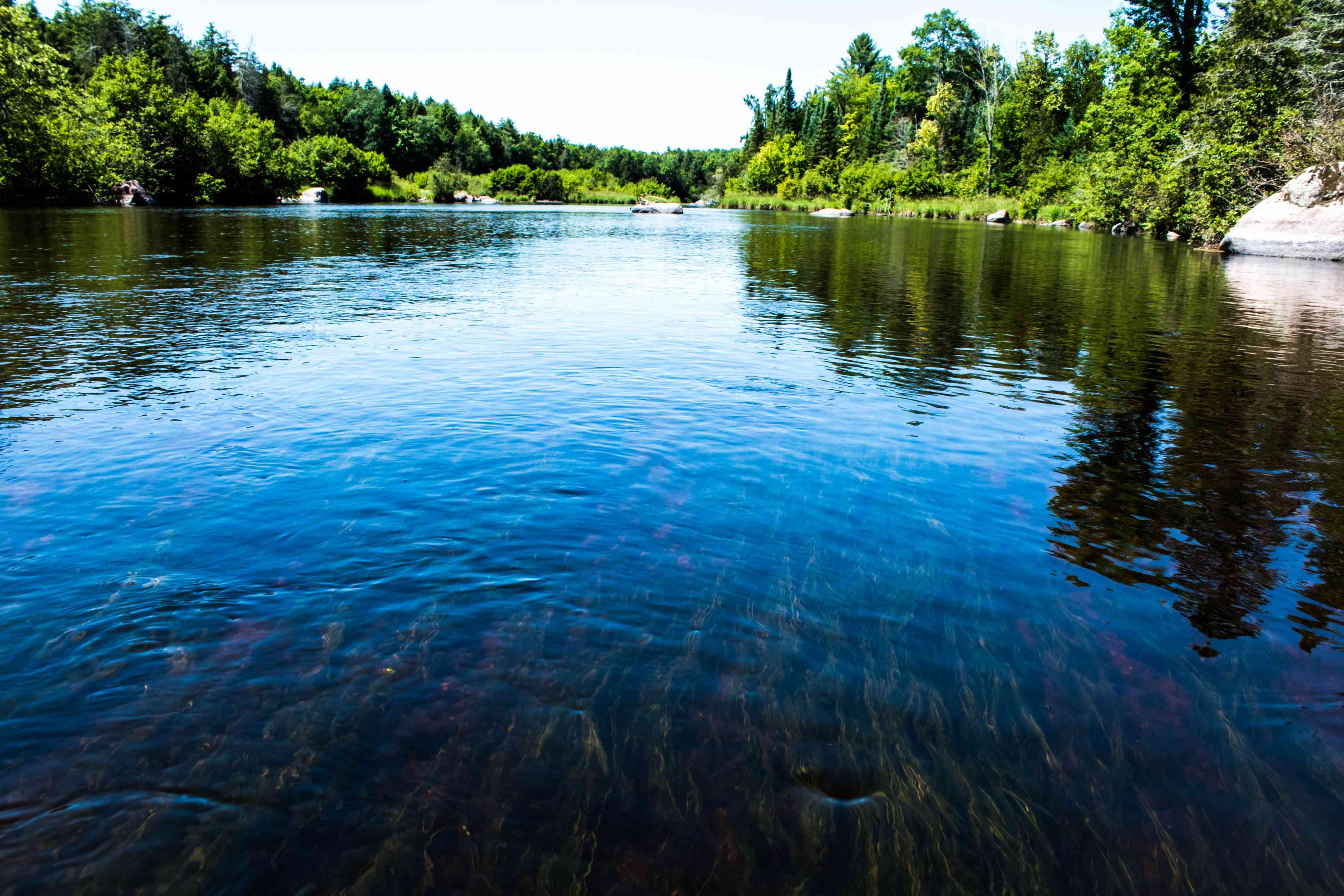 狼河上的美丽风景，有岩石和河草，威斯康星州＂width=