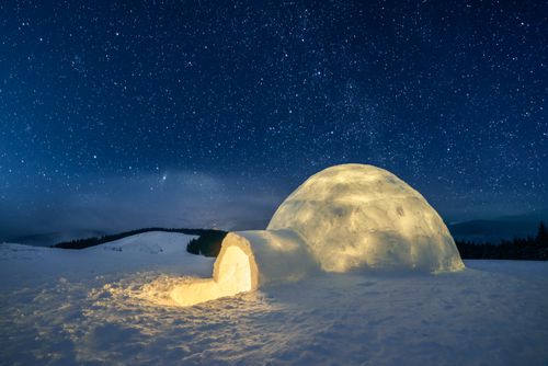 冬天的场景与雪树