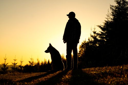 黑暗剪影拍摄的人在棒球帽与德国牧羊犬在黄昏