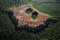 加拿大选择性伐木的鸟瞰图