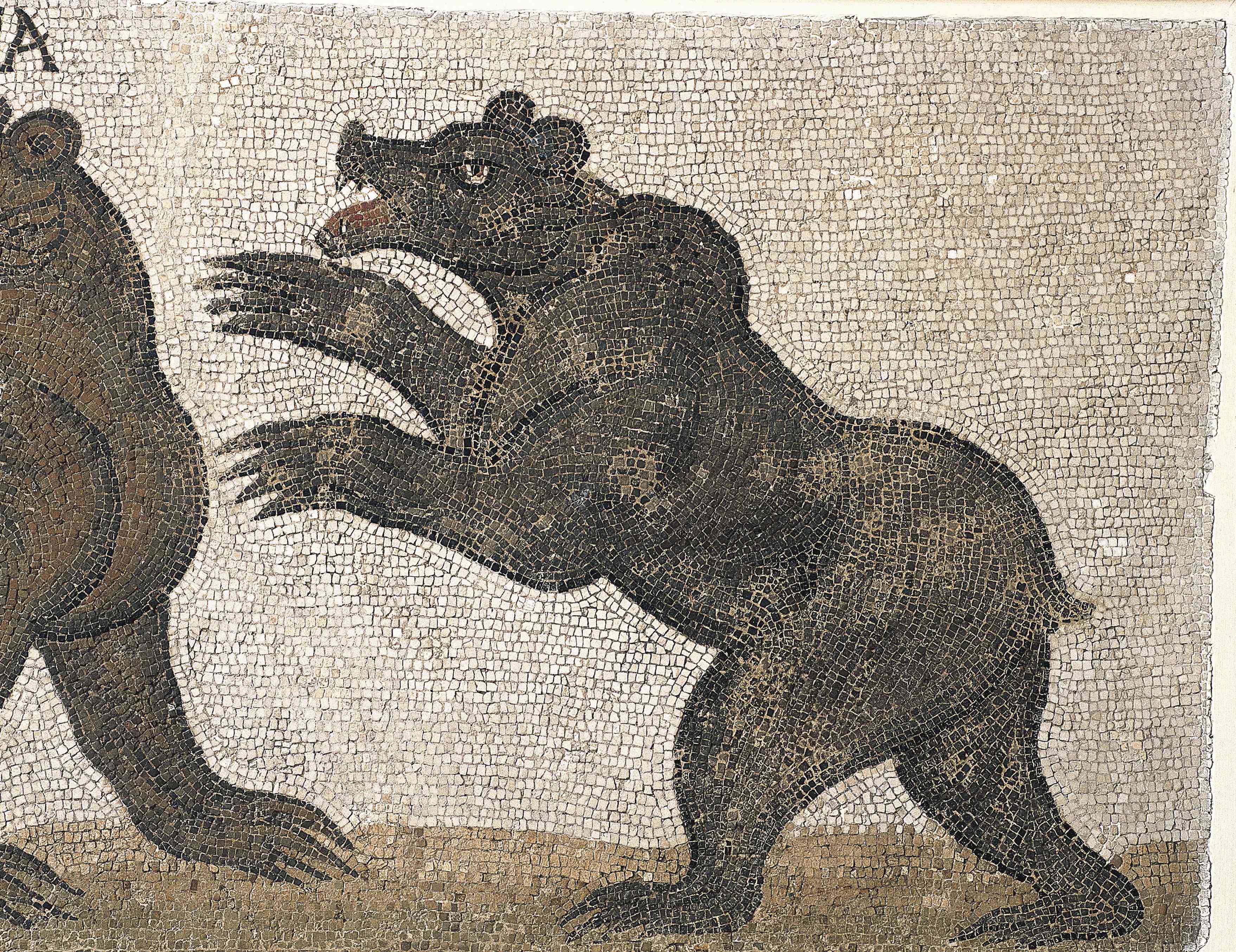描绘阿特拉斯熊攻击迦太基的马赛克，突尼斯＂width=
