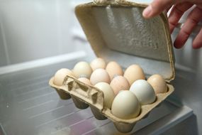 手打开鸡蛋盒回收存储在冰箱里给农场新鲜的鸡蛋