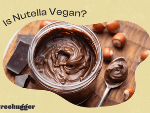 nutella的素食照片是插图吗