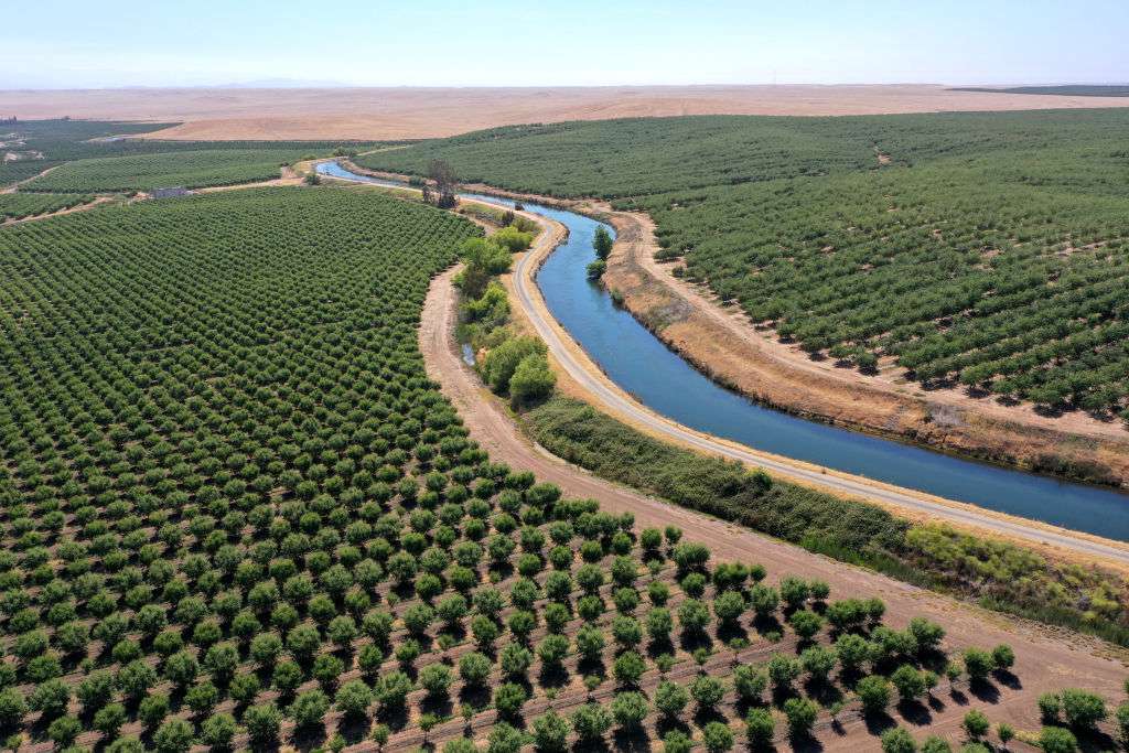 灌溉渠的鸟瞰图在加利福尼亚杏树果园之间“width=