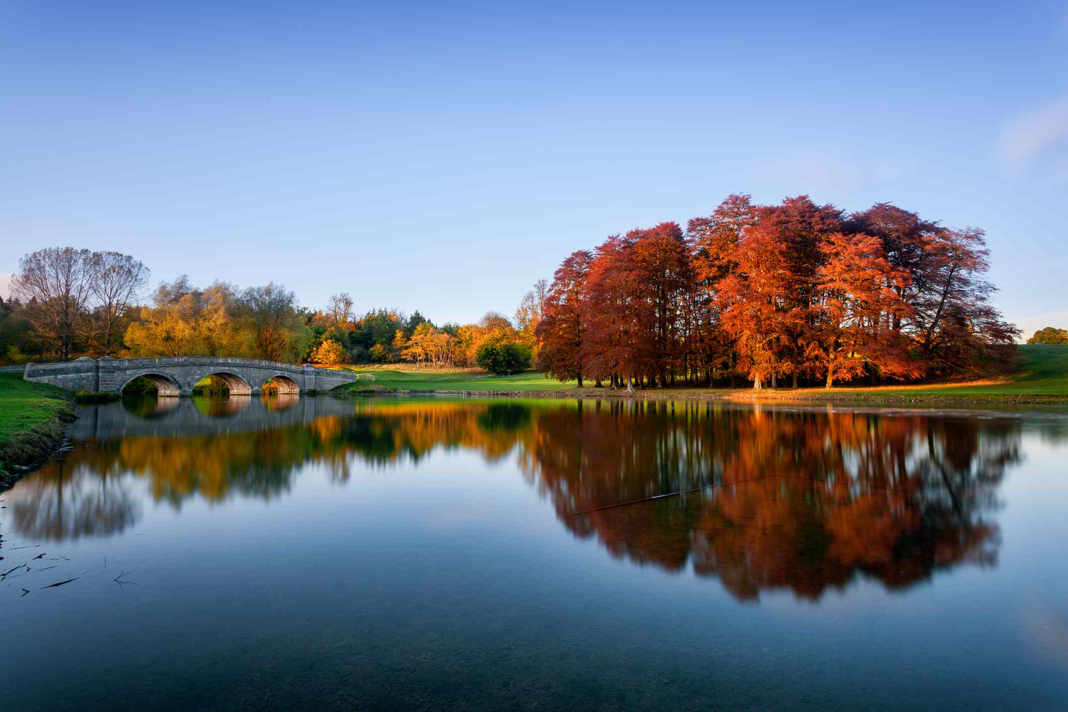 在牛津郡伍德斯托克的布伦海姆公园，清澈的蓝天上，秋天的大树在橙色和红色的阴影中倒映在格兰姆河平静的水面上