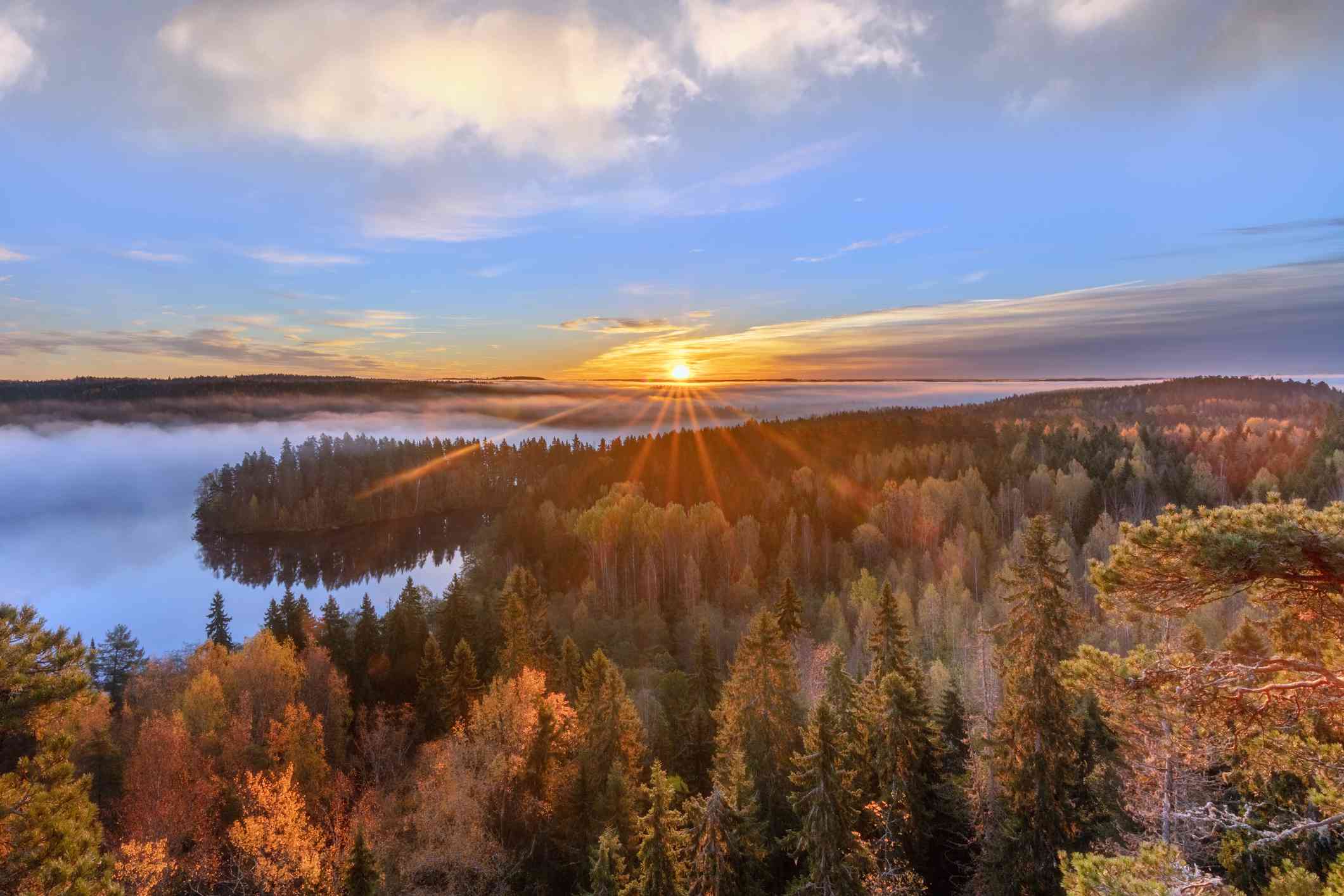在芬兰Hämeenlinna的奥兰科，日出时，阳光透过湖边的秋日树林，在天空中闪耀着蓝天和白云。