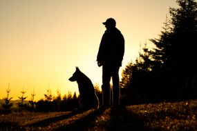 黑色轮廓的人在棒球帽在黄昏的德国牧羊犬