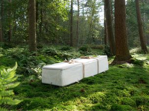 循环生活棺材在森林里休息