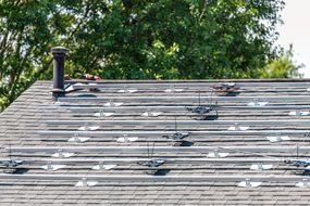 Solar racking on a rooftop.