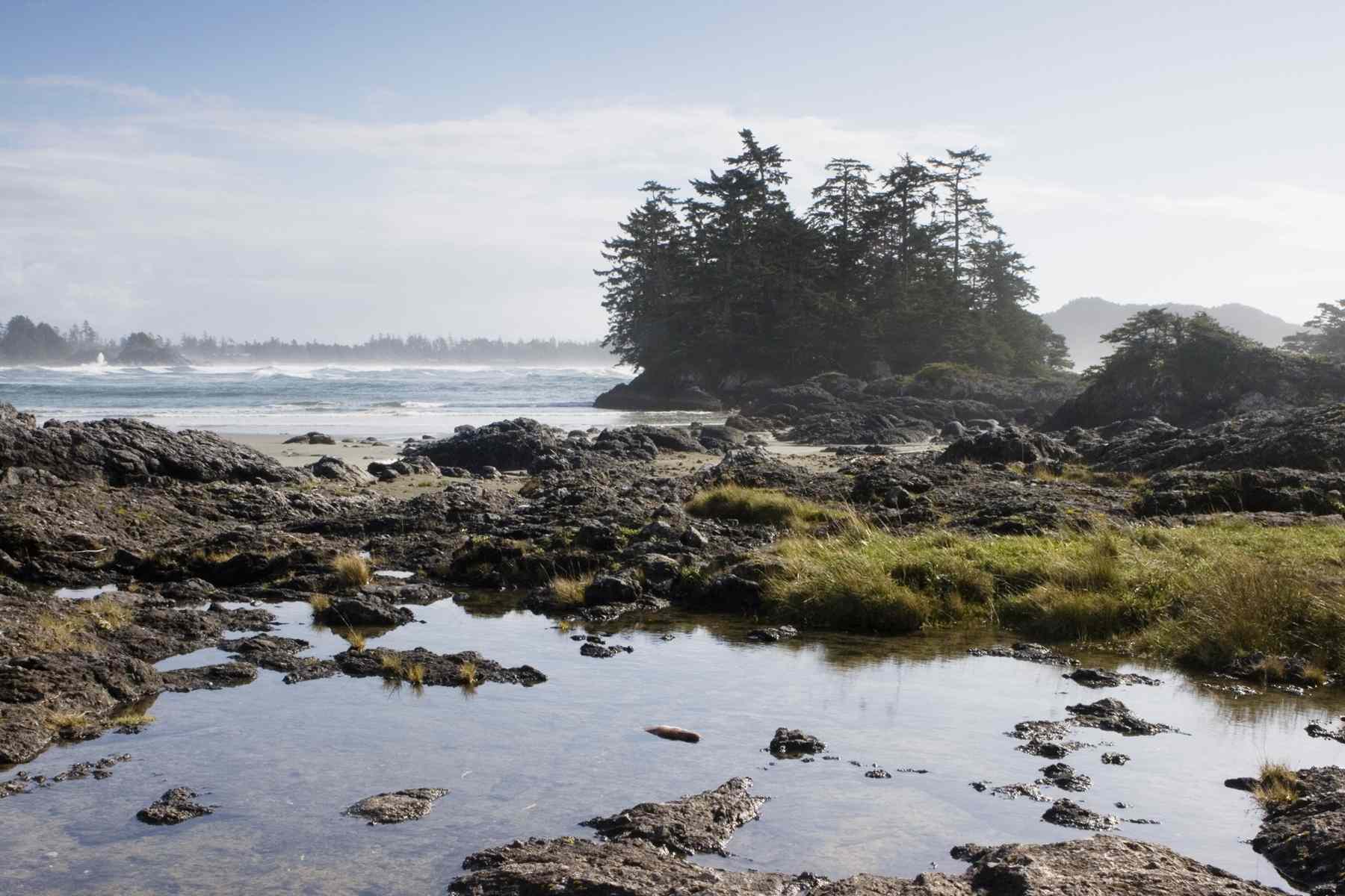 远处是切斯特曼海滩，前景是潮汐池