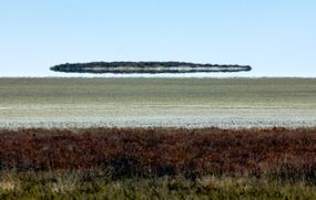 Fata Morgana高级海市蜃楼看起来就像一个飞碟，在非洲纳米比亚的埃托沙平原的沙地和低矮的棕色地被物之上，晴朗的蓝天上