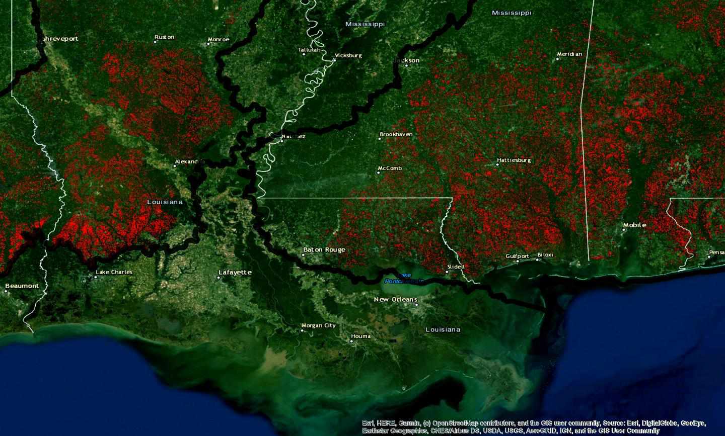 地图显示了红头啄木鸟栖息地的丧失
