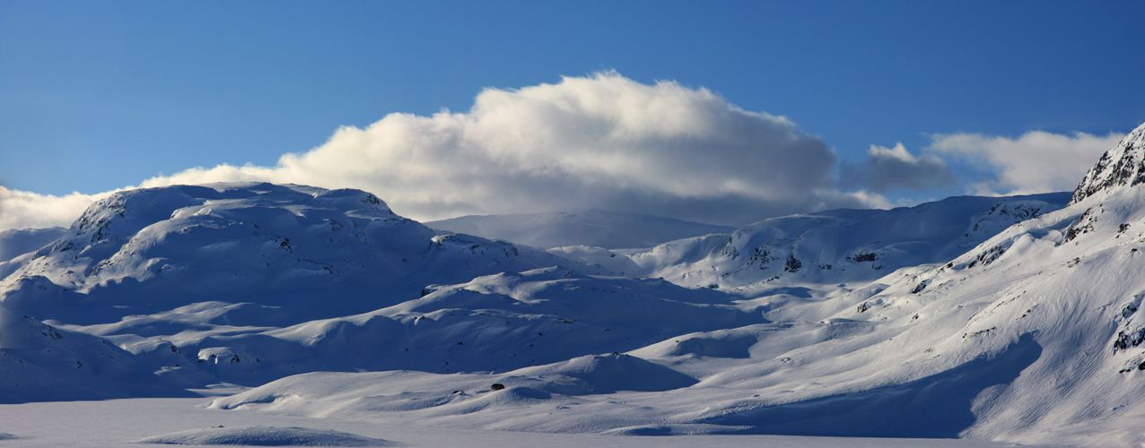 Haukelifjell