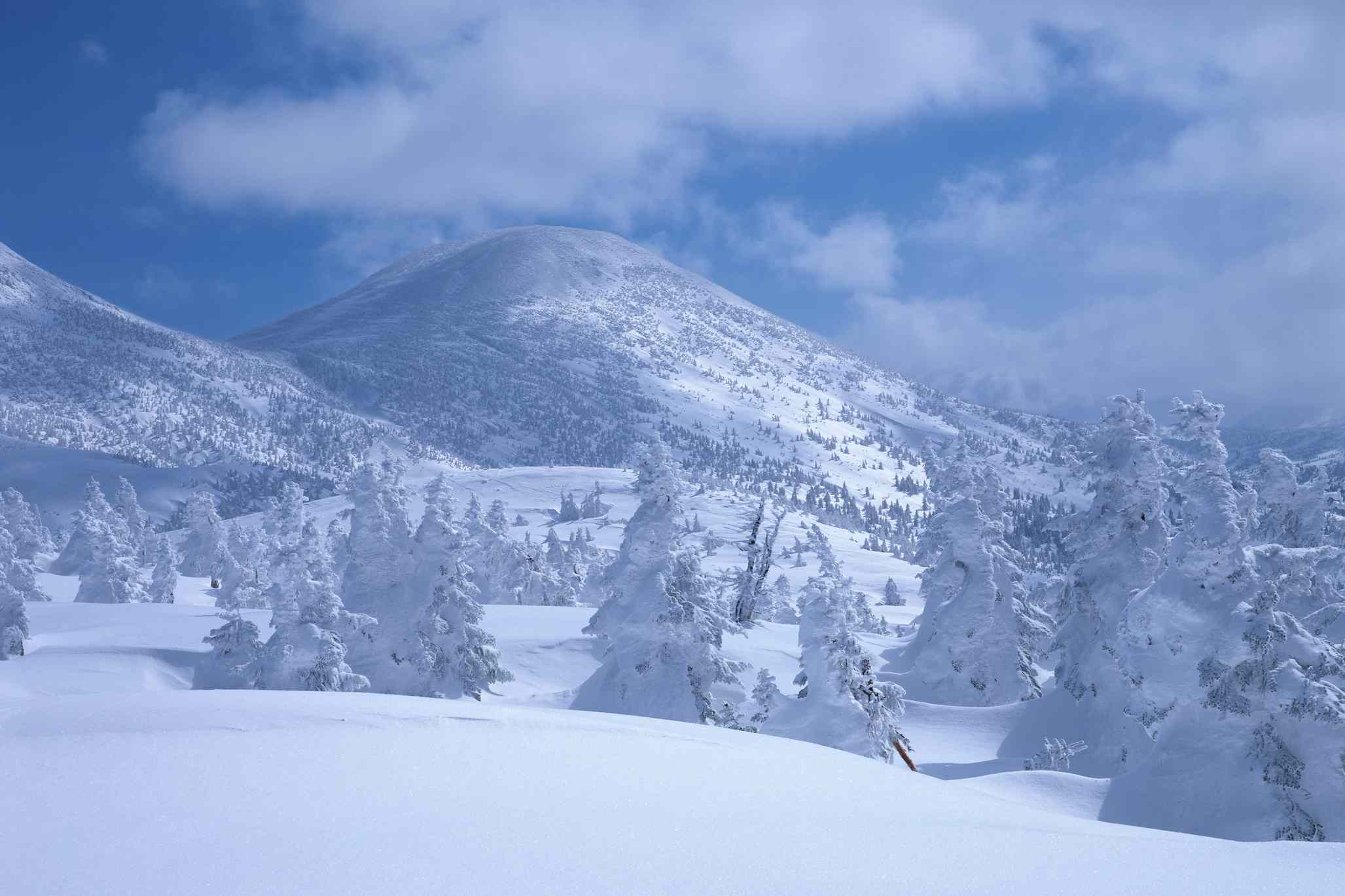 雪太Hakkoda在青森县城市和森林