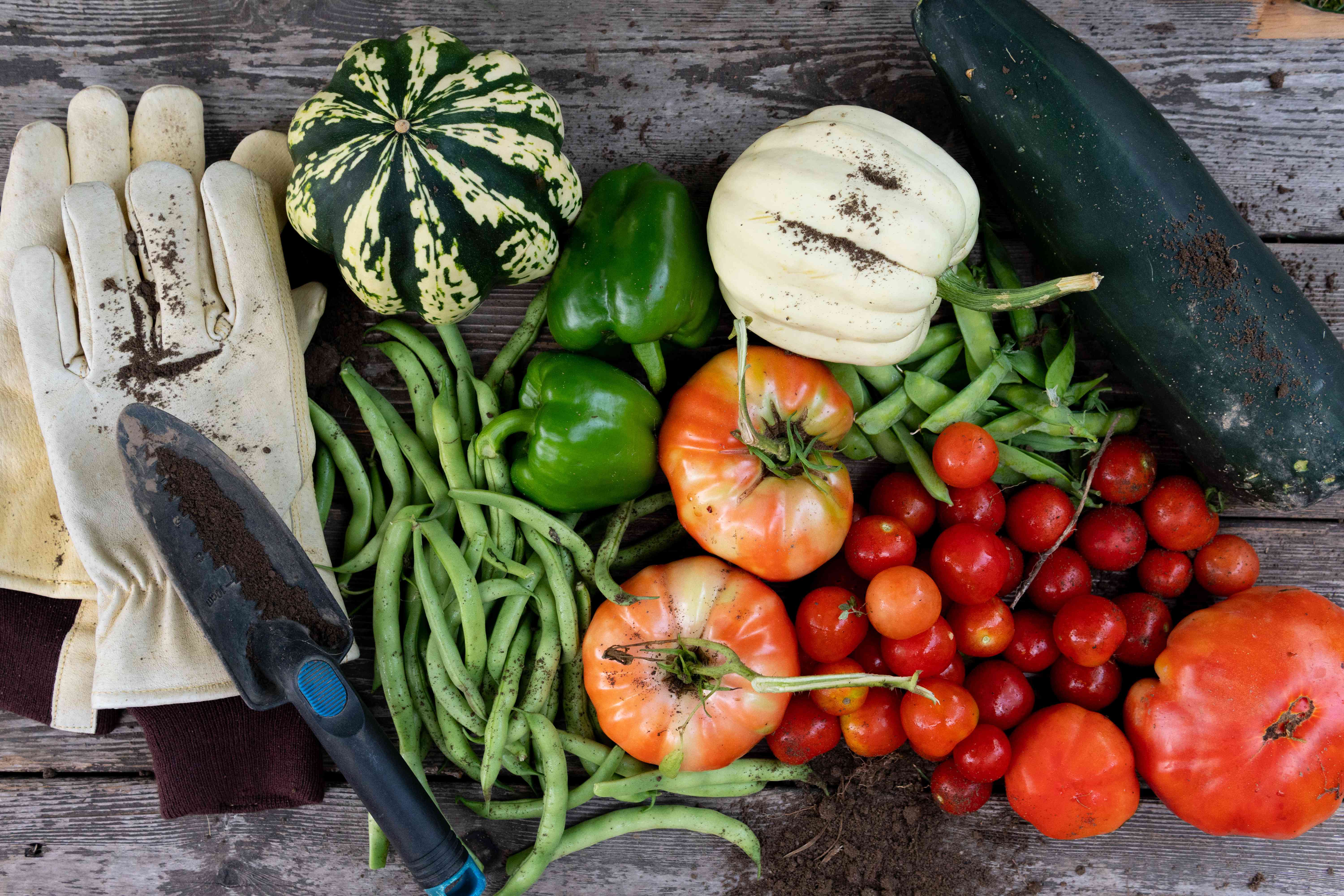 花园蔬菜和园艺工具的俯拍