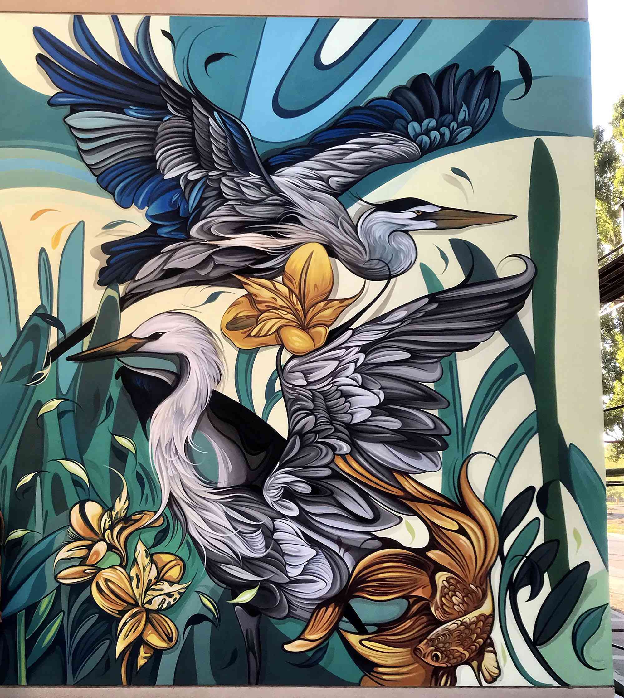 鸟花自然街头艺术壁画Fio席尔瓦