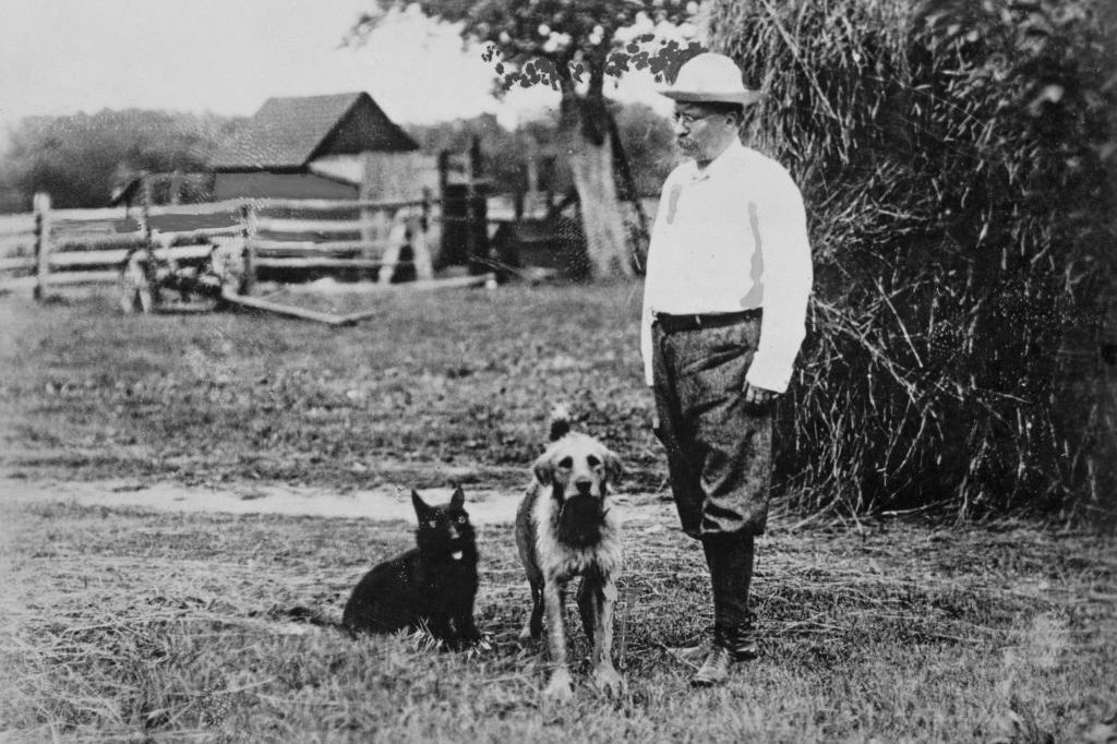 西奥多·罗斯福和他的狗在农场＂width=
