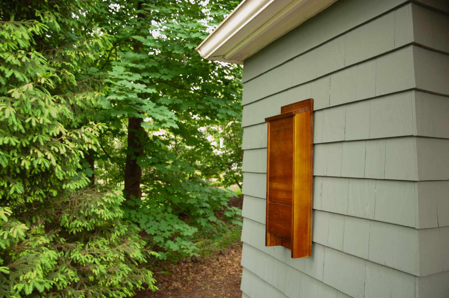 木制蝙蝠屋与石板绿的木瓦屋相连＂width=