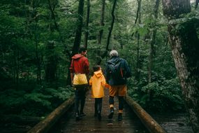 一家三口，都穿着雨衣，穿过森林中的一座桥。