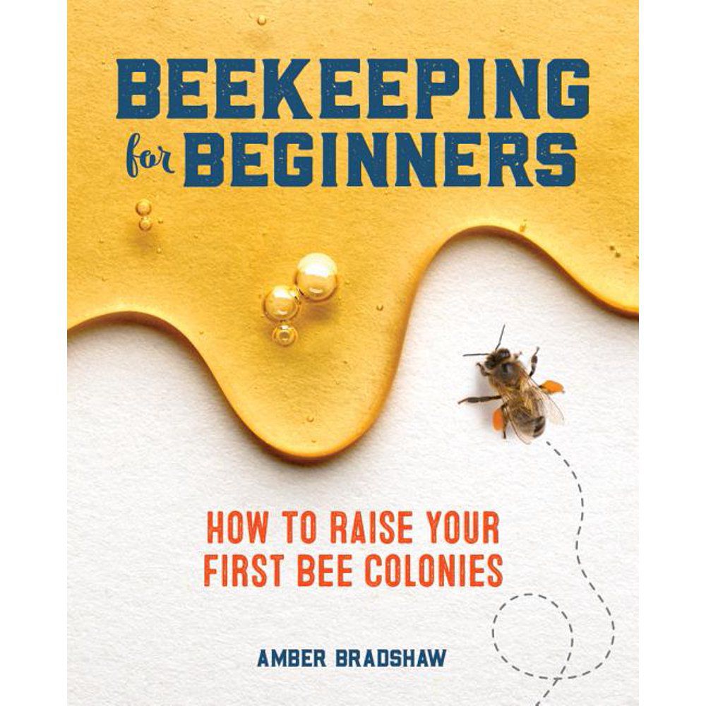 养蜂初学者:如何培养你的第一个蜂群