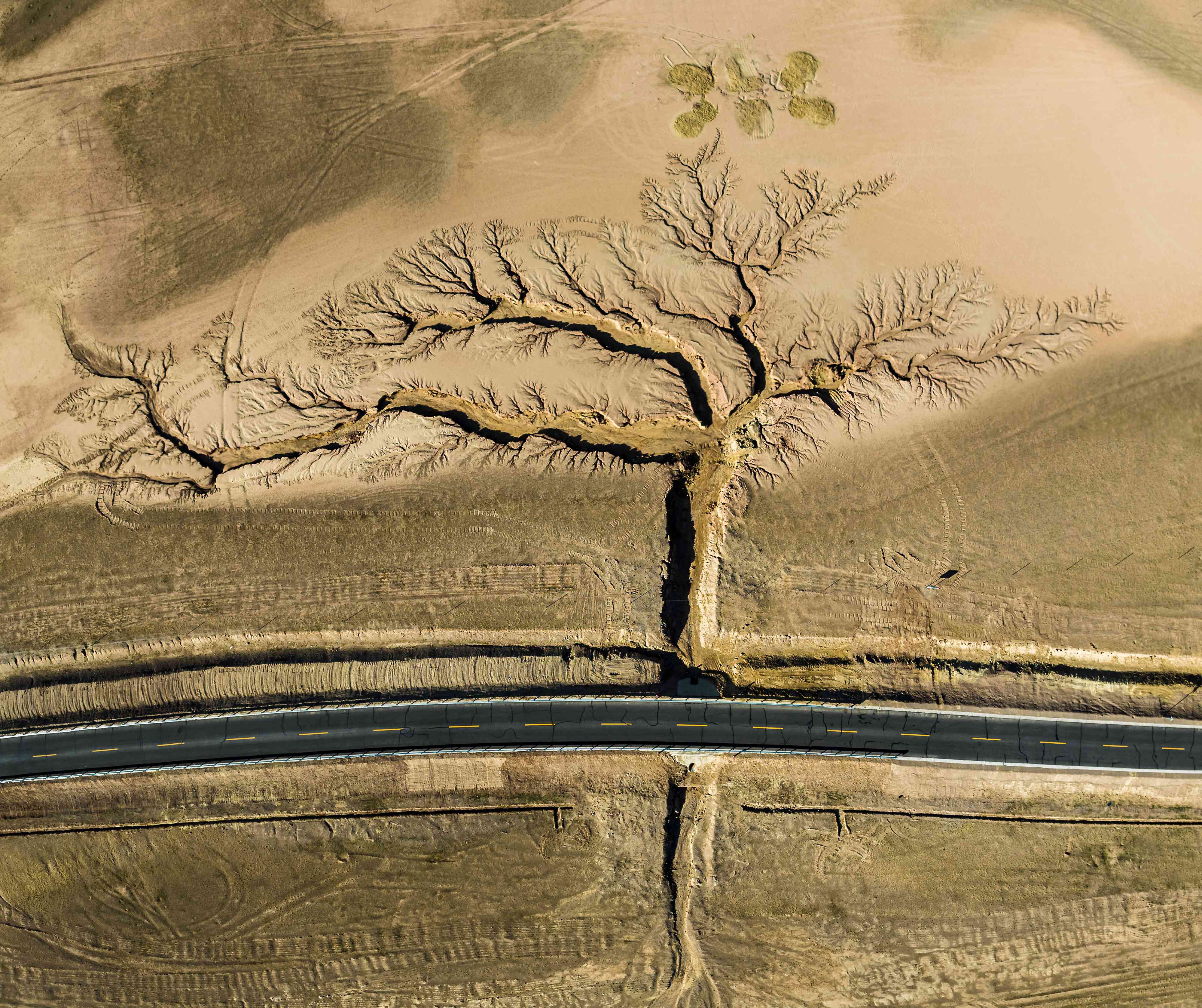 道路用干支流,形状像一棵树”width=