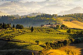 农业领域风景看法在Volterra，托斯卡纳