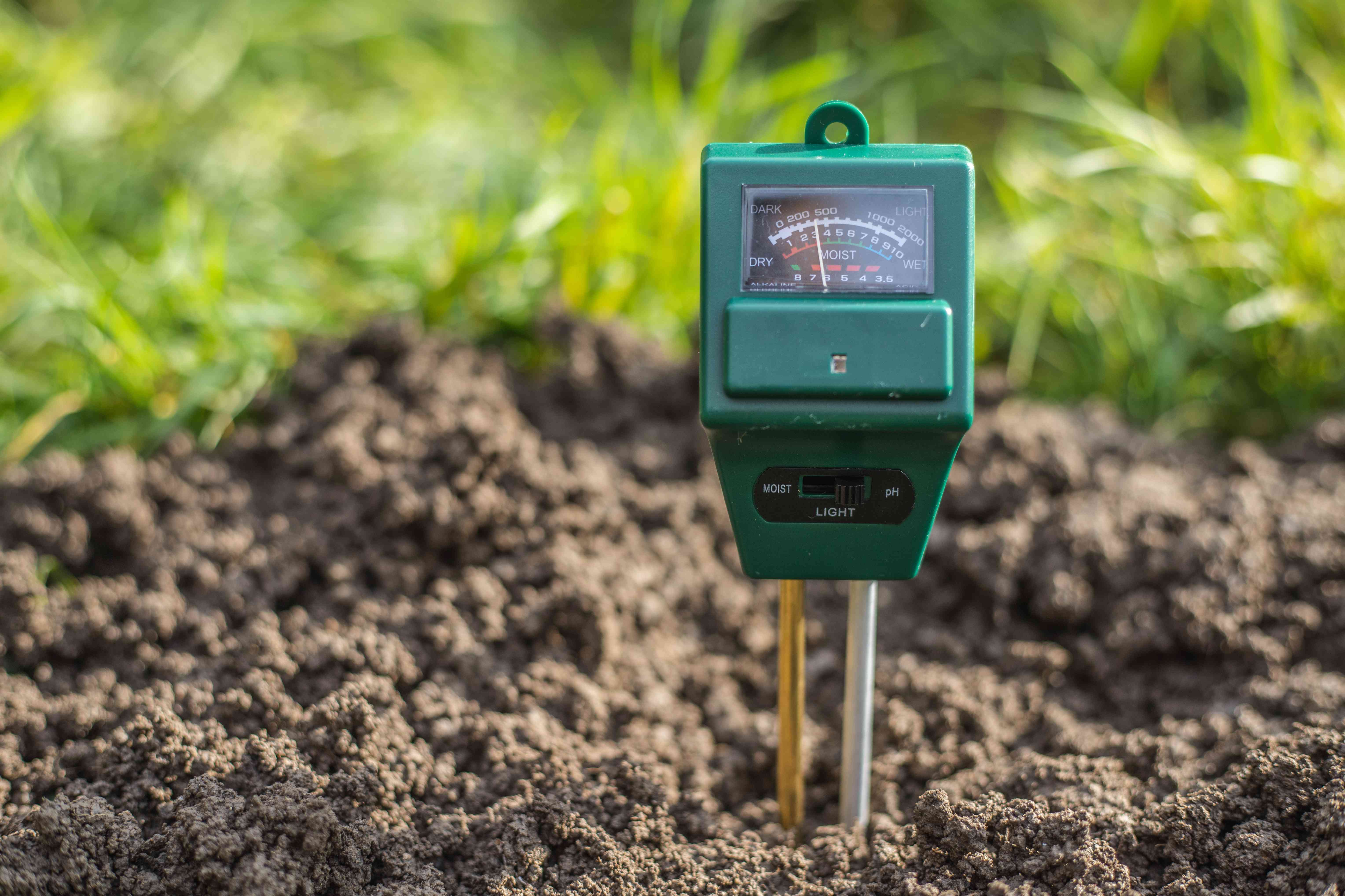 绿色塑料pH土壤测试仪被困在土壤中以测试镁和酸