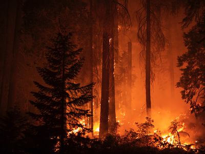 加州的森林大火正在消耗碳信用额