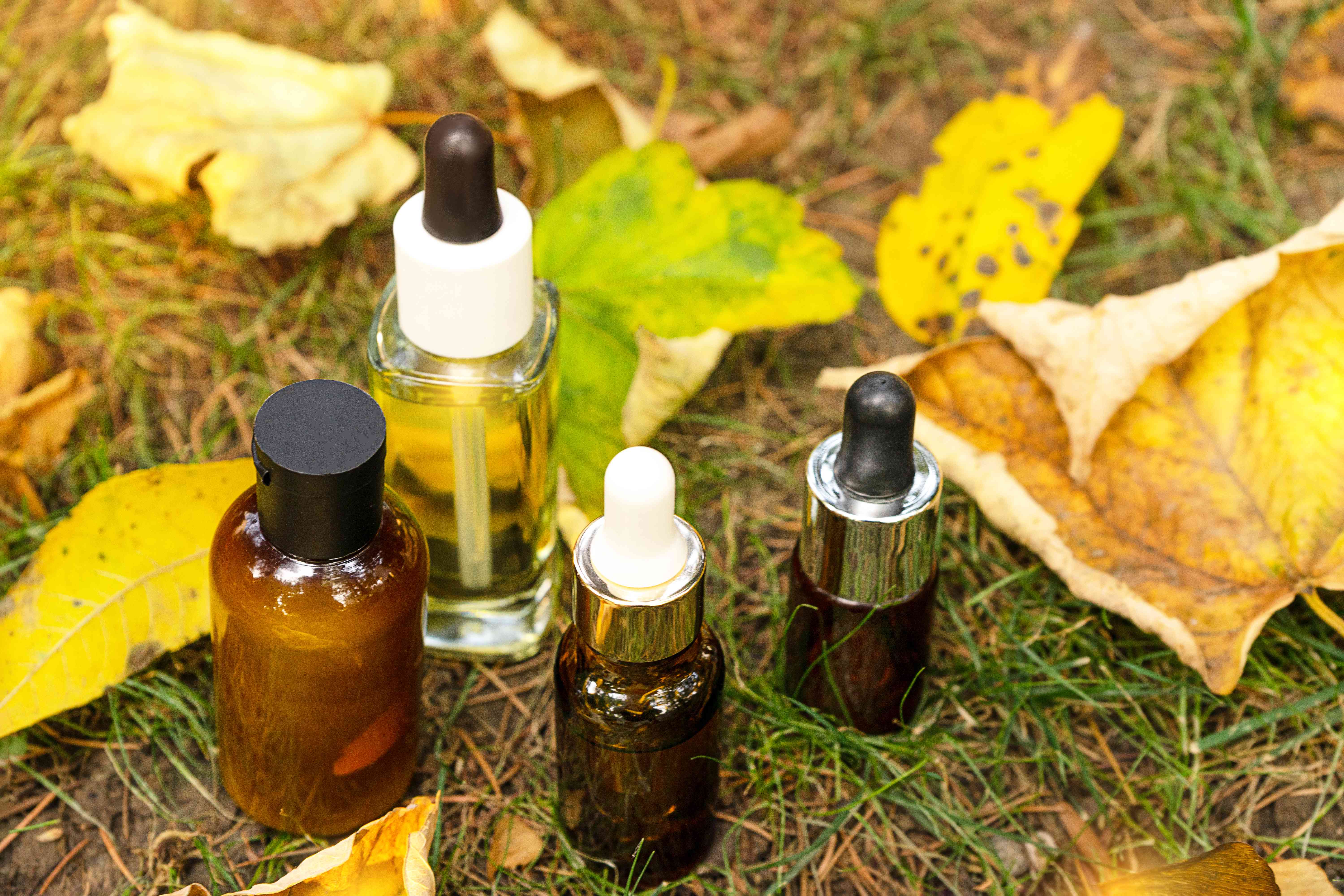 皮肤护理美容产品，天然化妆品的秋天自然概念。