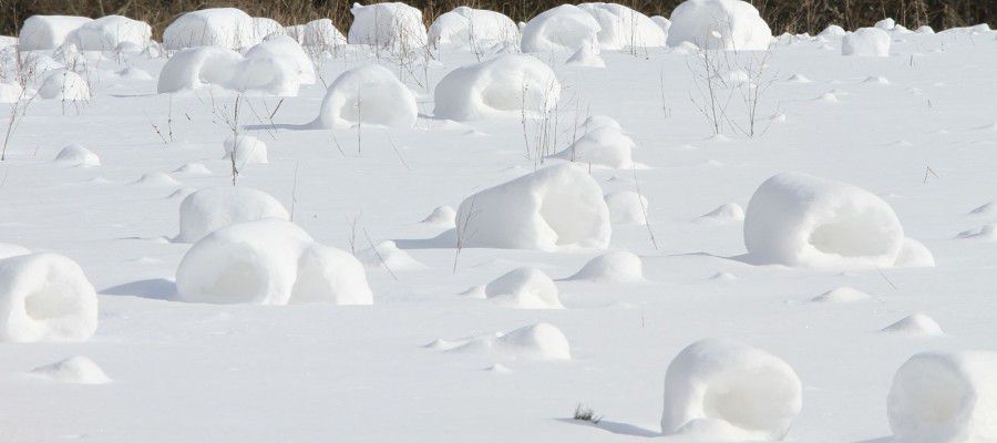 雪卷