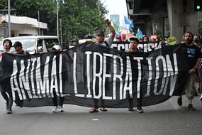 动物权利活动分子抗议