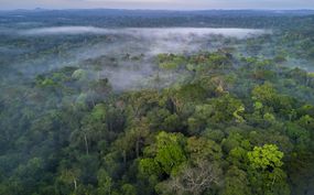 亚马逊热带雨林＂width=