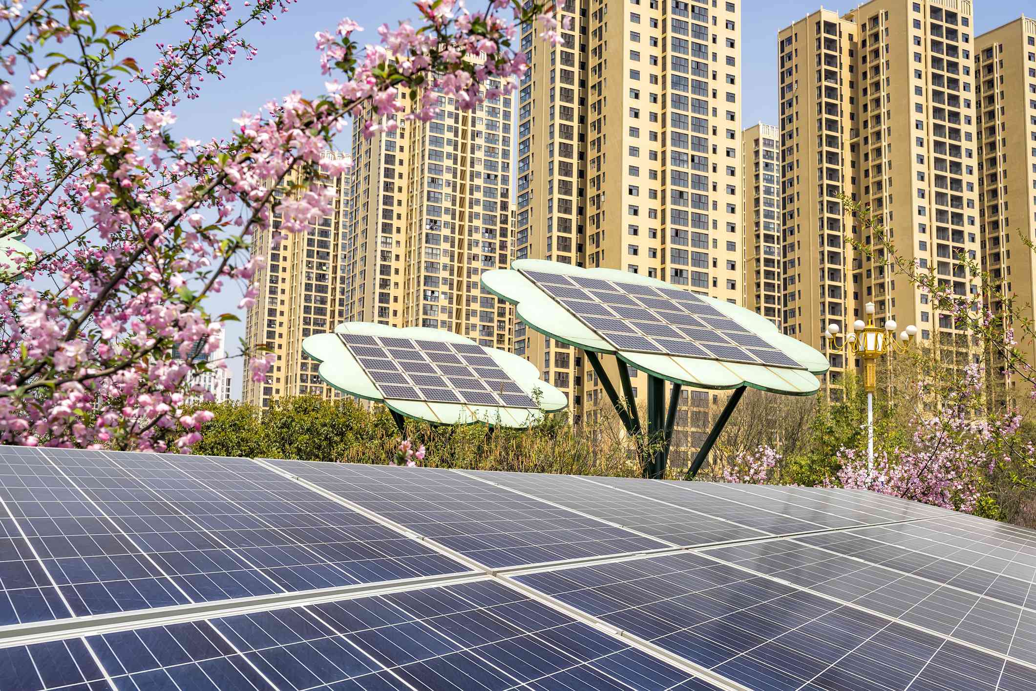 Rooftop solar panels with flower-shaped solar trees, pink blossoms, and high rises in background