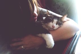 一个女人盯着一只可爱的猫睡在怀里