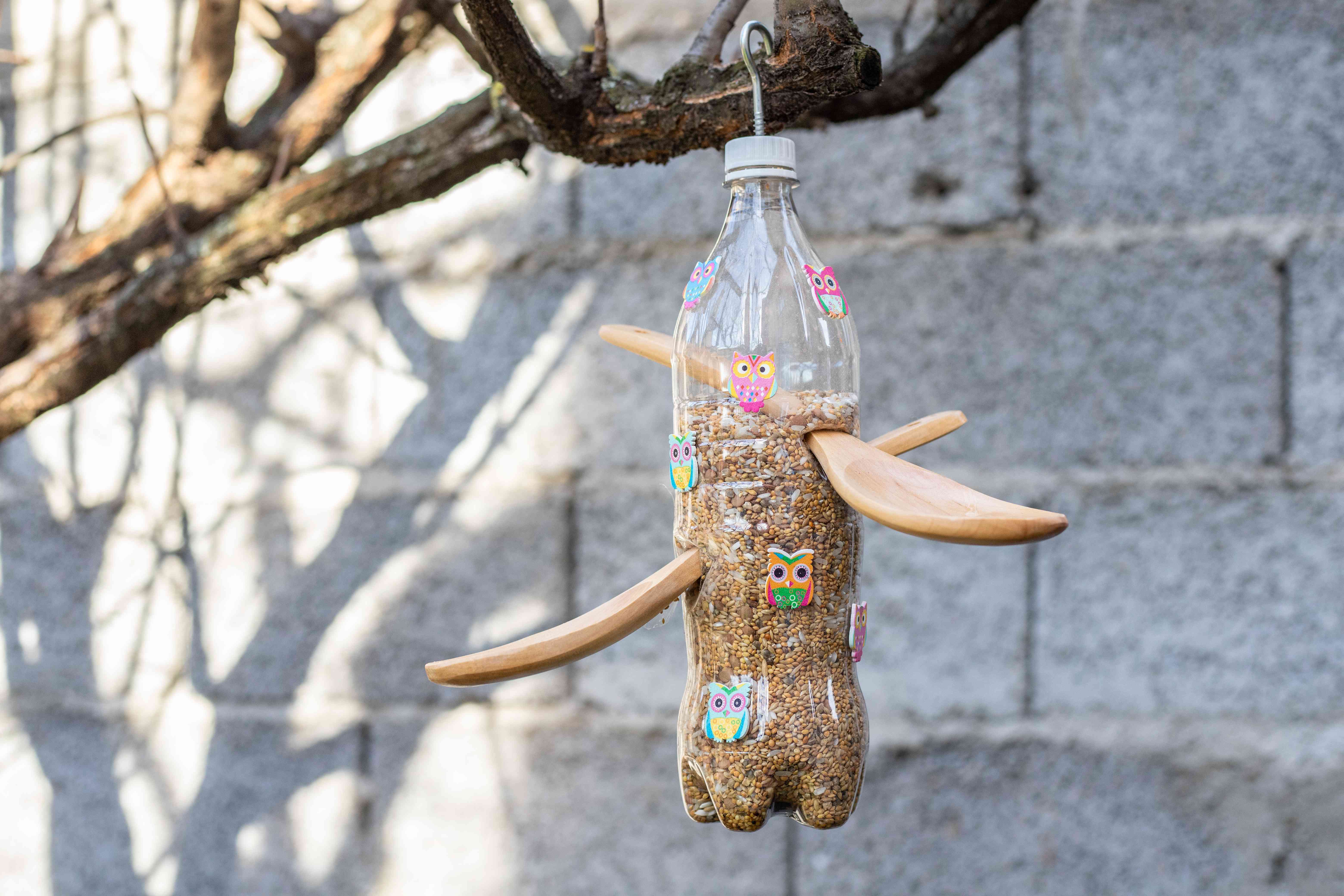 作为鸟饲养者的再生塑料水瓶与木匙子