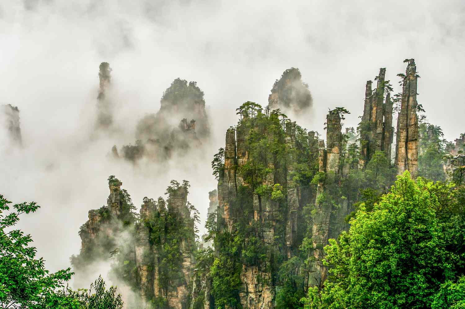 锯齿状的岩石和树木生长在和周围的人,都被雾包围着